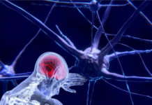 Entanglement Of Brains nervous