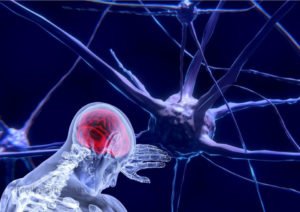 Entanglement Of Brains nervous