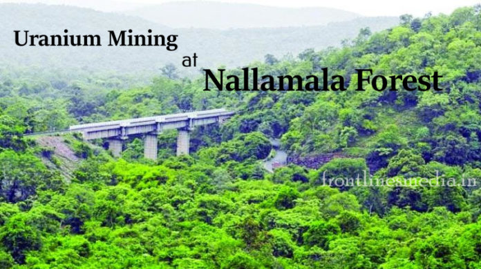Nallamala-forest-
