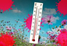 Link Between Hot Weather and Corona Virus