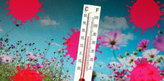 Link Between Hot Weather and Corona Virus