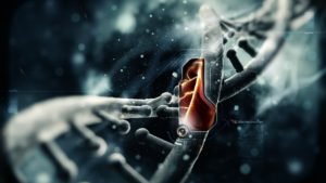 GENETIC MEMORY