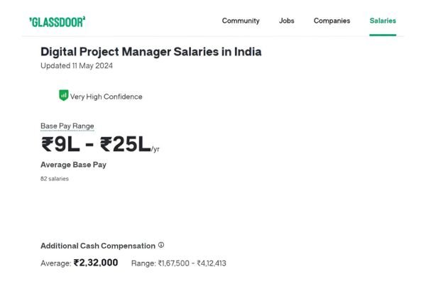 Digital Project Manager - How to Find High-Paying Digital Marketing Jobs in India