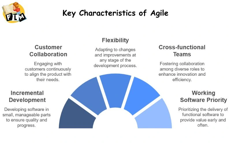 Understanding Agile Methodology in Software Development