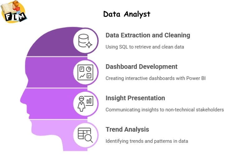 Data Analyst