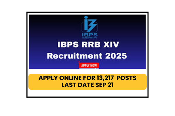 ibps rrb flm job notification