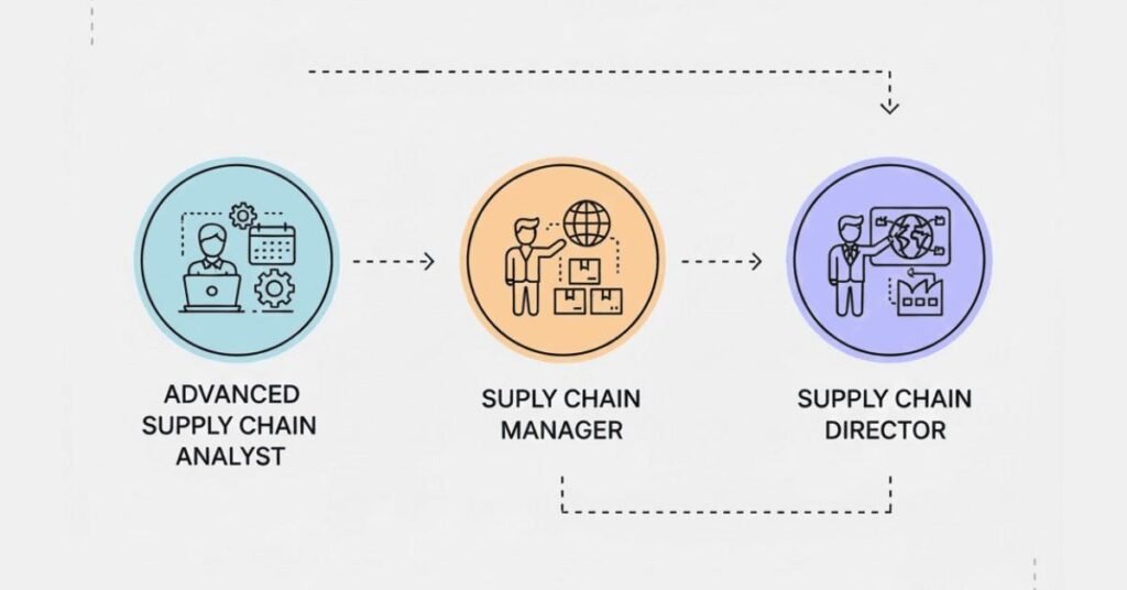 Advanced supply chain analyst career growth path