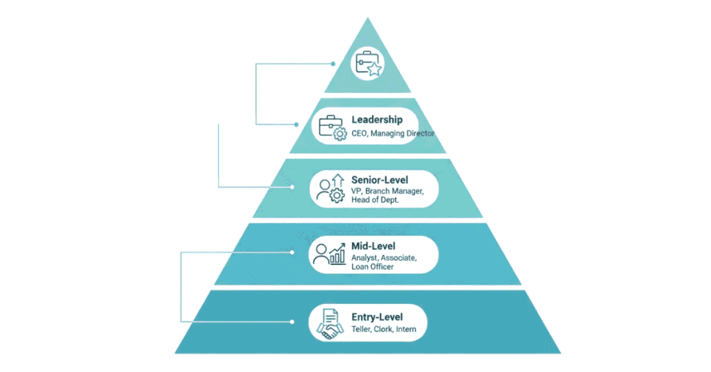 Banking career hierarchy from entry-level roles to leadership positions.