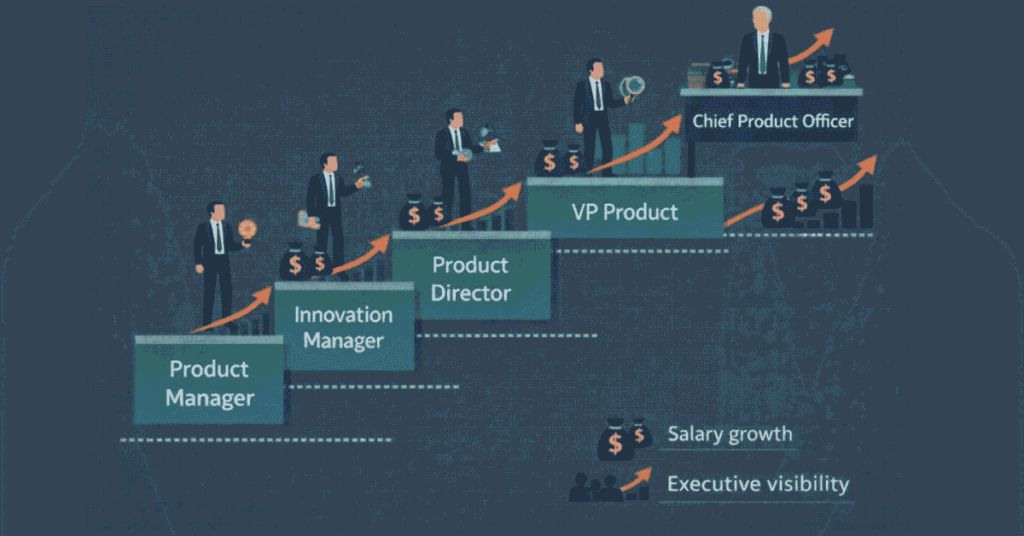 Product innovation manager career path salary and chief product officer progression