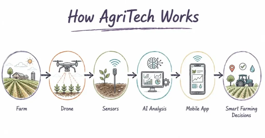 Workflow of AgriTech from farm to smart decisions. | FLM | FrontlinesEduTech |